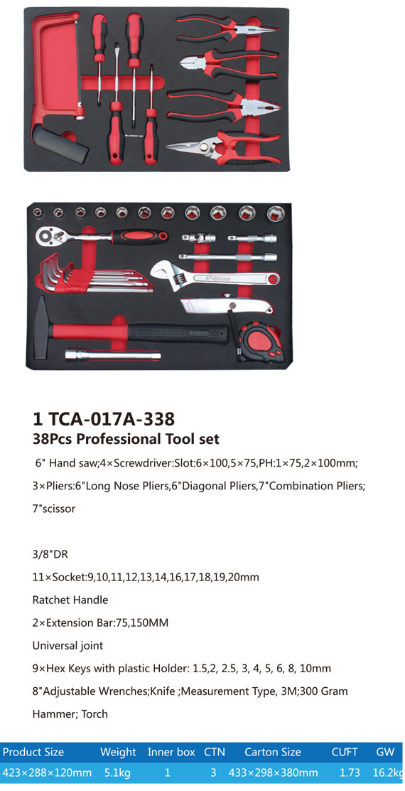 TCA-017A-338 Professional Tool set-1