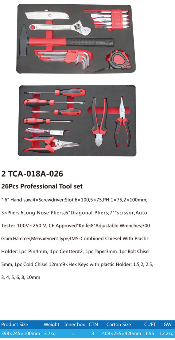 TCA-018A-026 Professional Tool set-1
